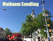 Neuer Maibaum in Sendling wurde am 7.5.2016 aufgestellt (